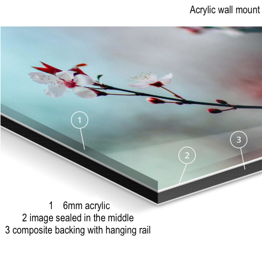 Acrylic Wall Mount
