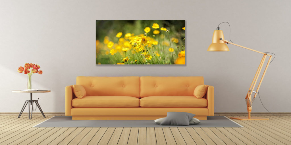 Sydney wall art - decorate your home - Imagebank Australia