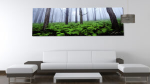 acrylic mounted photos