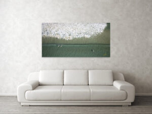 acrylic-wall-print